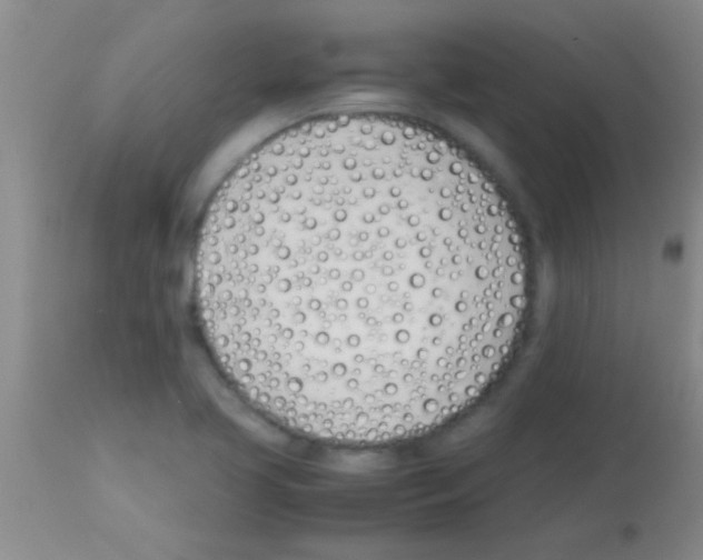 X0000113151413200910161209