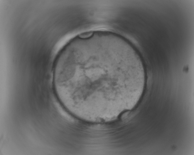 X0000113151414200910161209