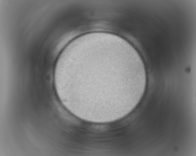 X0000113151415200910161209