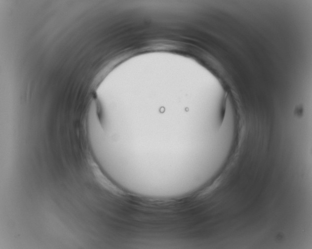 X0000113151417200910161209