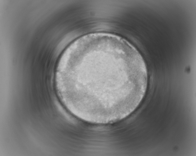 X0000113151418200910161209