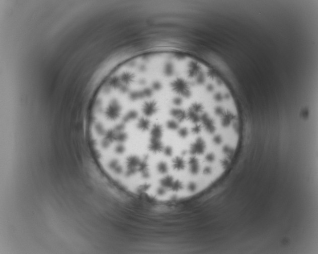 X0000113151419200910161209