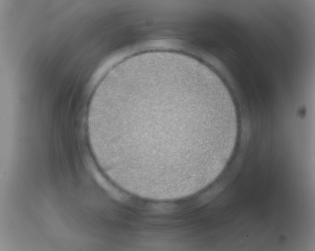 X0000113151421200910161209