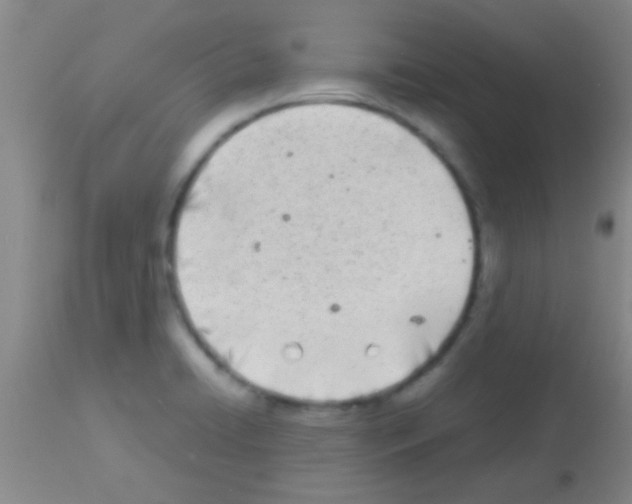 X0000113151422200910161209