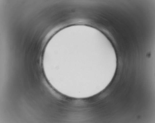 X0000113151424200910161209