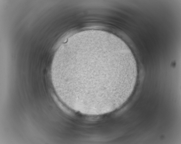 X0000113151425200910161209