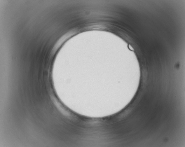 X0000113151426200910161209