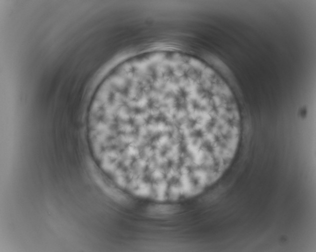 X0000113151427200910161209