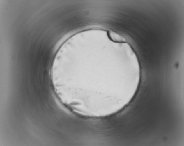 X0000113151428200910161209