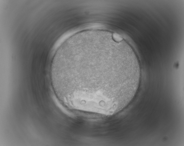 X0000113151429200910161209