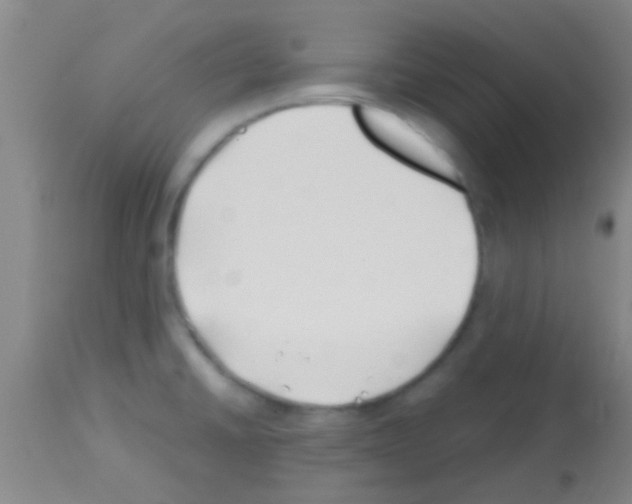 X0000113151430200910161209