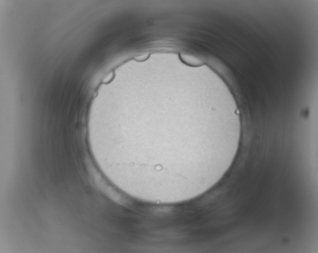 X0000113151431200910161209