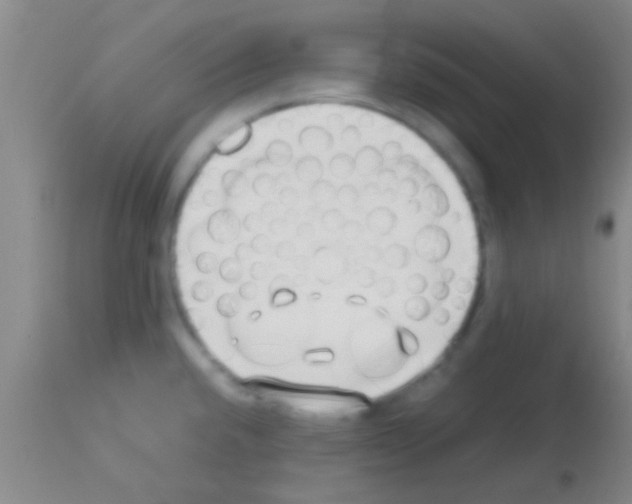 X0000113151432200910161209