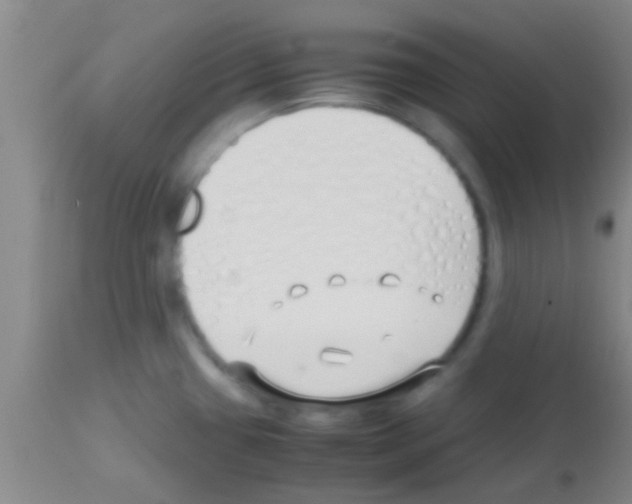 X0000113151433200910161209