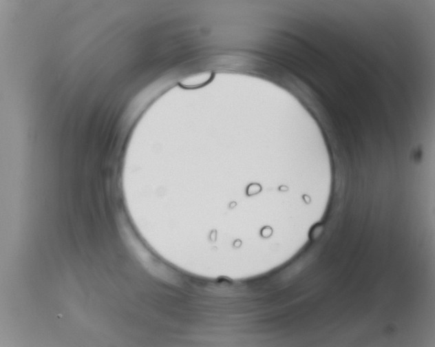 X0000113151434200910161209