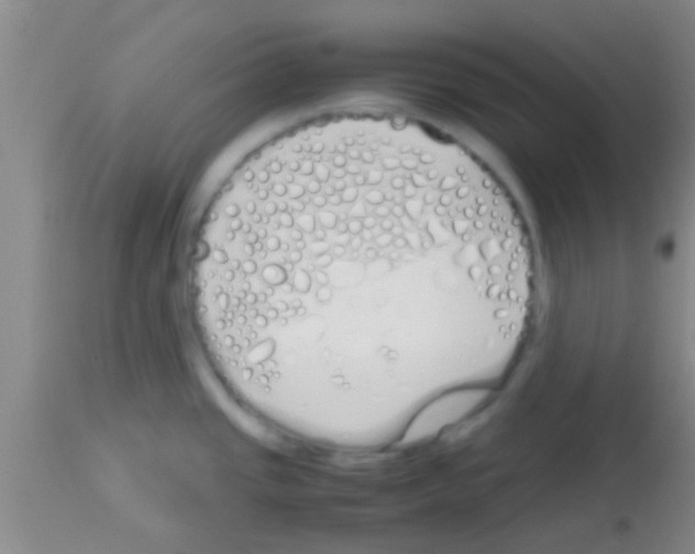 X0000113151437200910161209