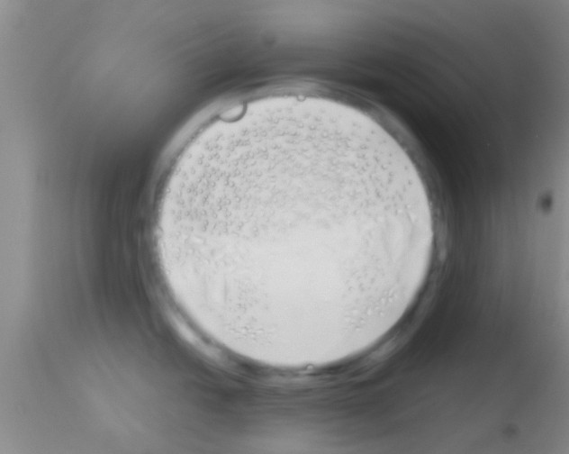 X0000113151438200910161209