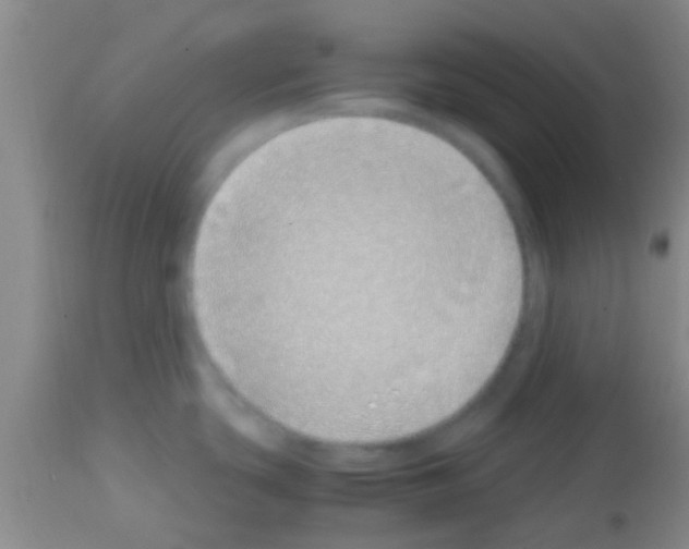 X0000113151439200910161209