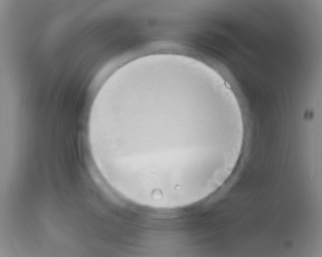 X0000113151440200910161209