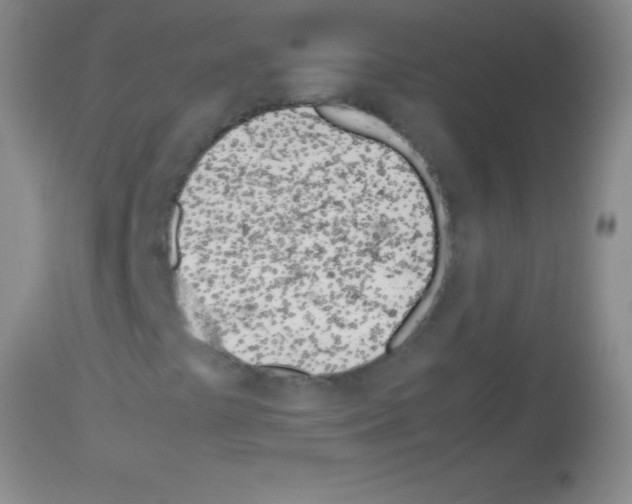 X0000113151441200910161209