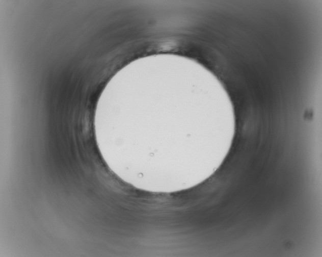 X0000113151442200910161209