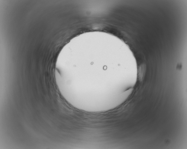 X0000113151443200910161209