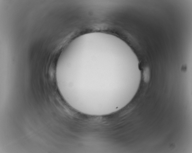 X0000113151444200910161209