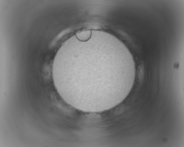 X0000113151446200910161209