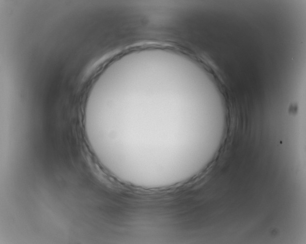 X0000113151448200910161209