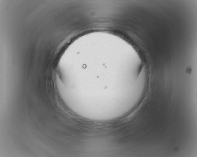 X0000113151449200910161209