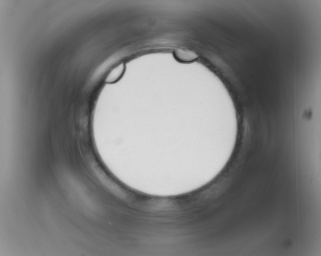 X0000113151450200910161209