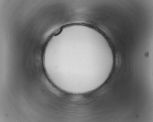 X0000113151452200910161209