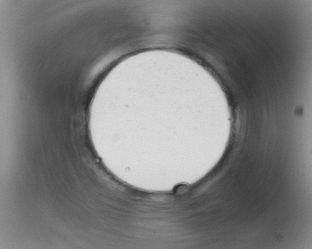 X0000113151453200910161209