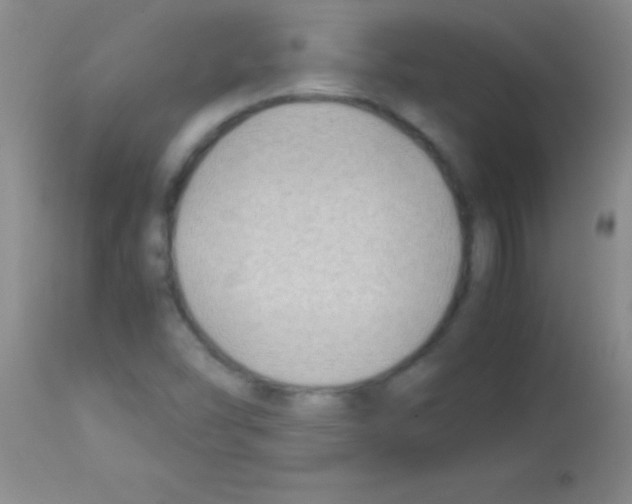 X0000113151454200910161209