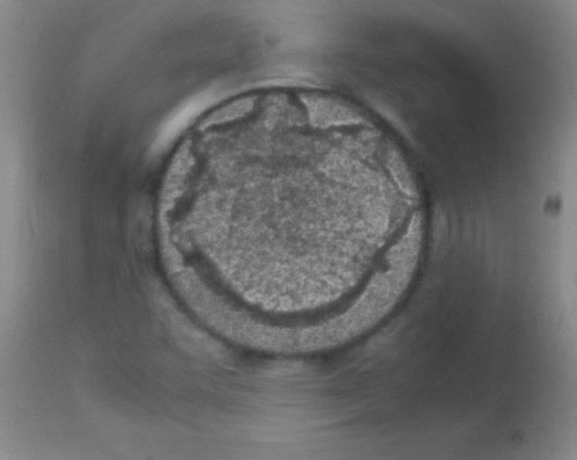 X0000113151455200910161209