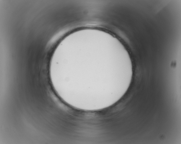 X0000113151456200910161209