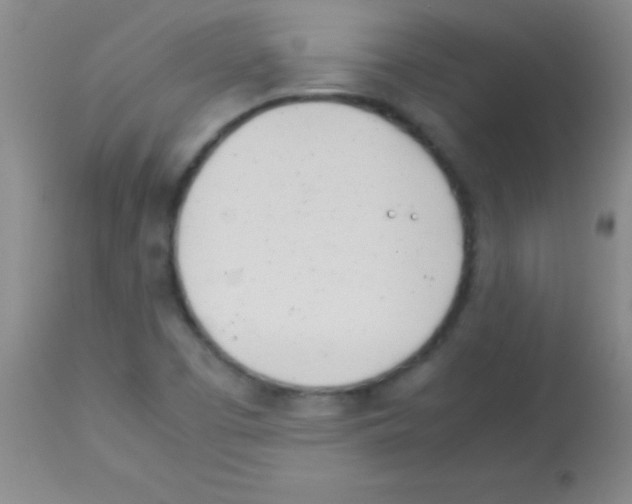 X0000113151457200910161209