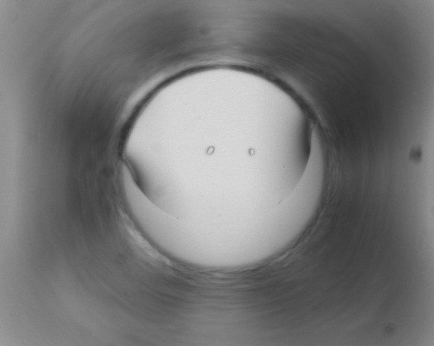 X0000113151460200910161209