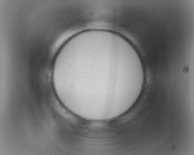 X0000113151462200910161209