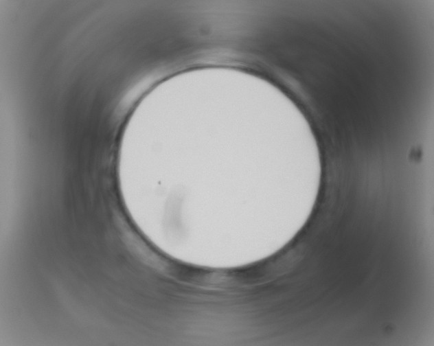 X0000113151463200910161209