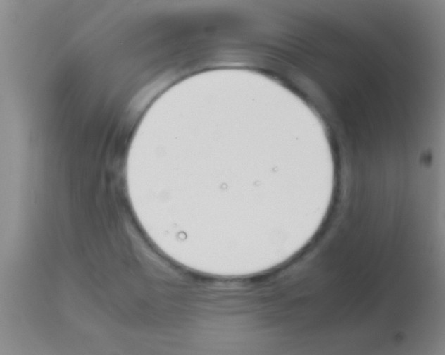 X0000113151465200910161209