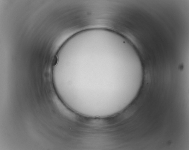 X0000113151468200910161208