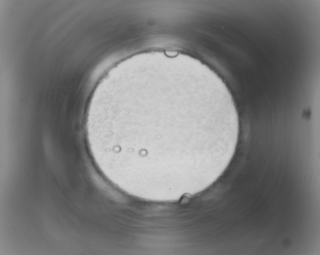 X0000113151471200910161208