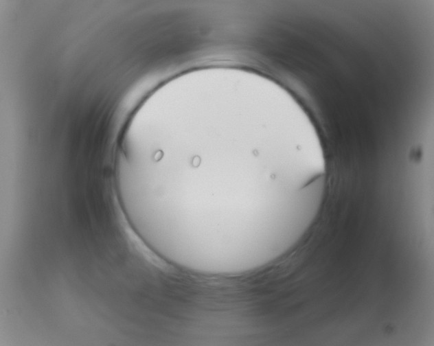 X0000113151472200910161208