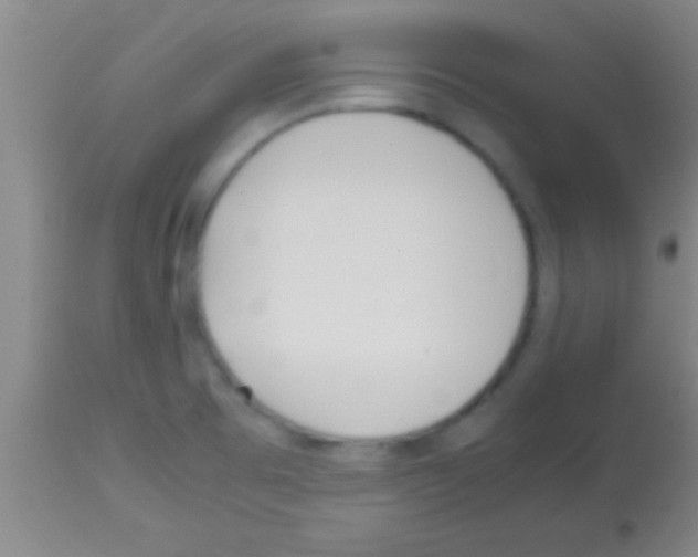 X0000113151473200910161208