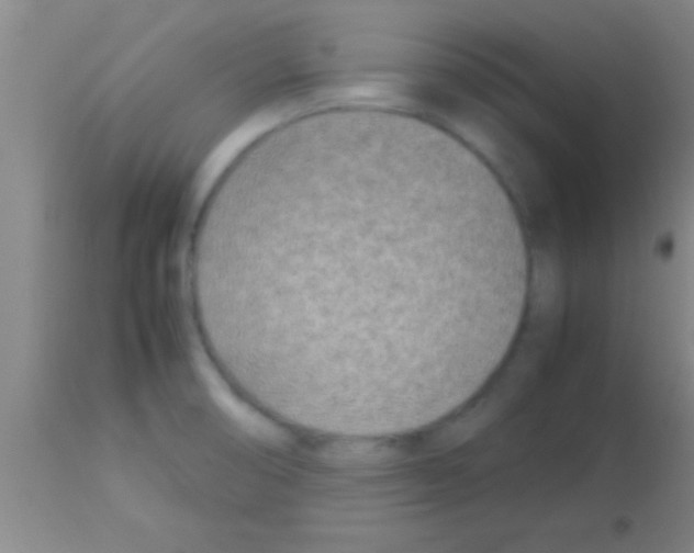 X0000113151474200910161208