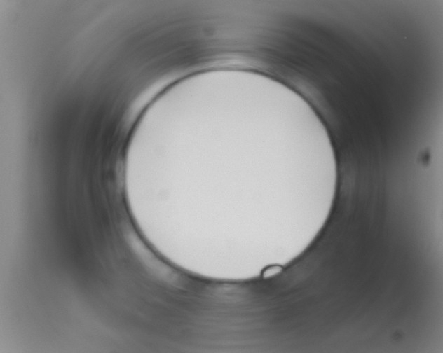 X0000113151476200910161208