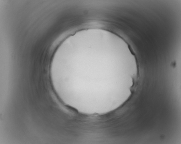 X0000113151477200910161208