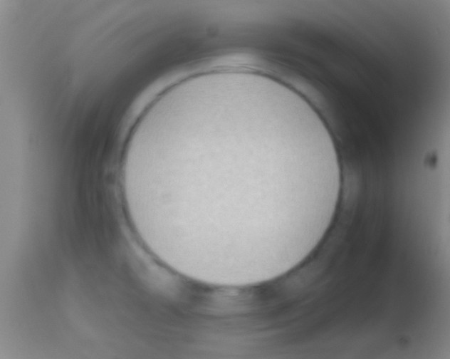 X0000113151478200910161208