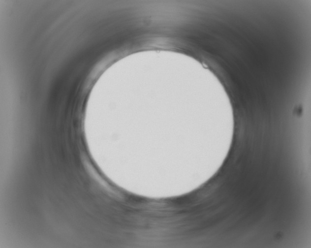 X0000113151479200910161208